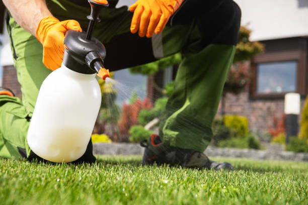 Best Local Pest Control Services  in Doolittle, TX