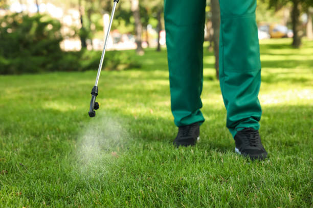 Best Pest Removal Services  in Doolittle, TX
