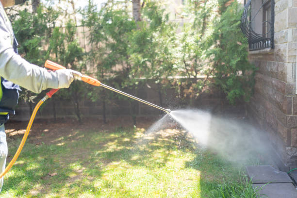 Best Emergency Pest Control  in Doolittle, TX