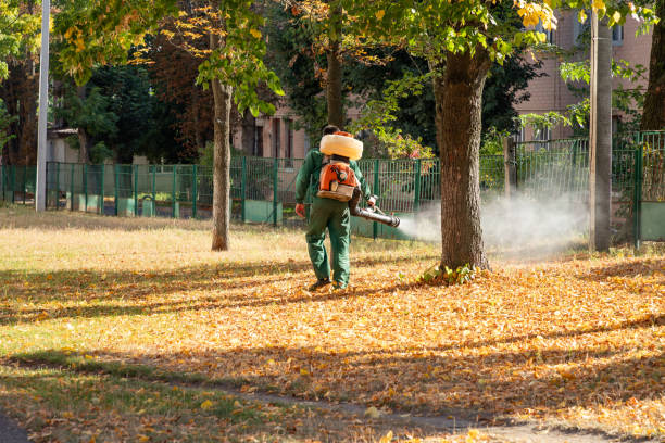 Best Termite Control Services  in Doolittle, TX