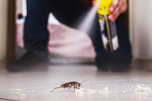 Best Cockroach Control Services  in Doolittle, TX