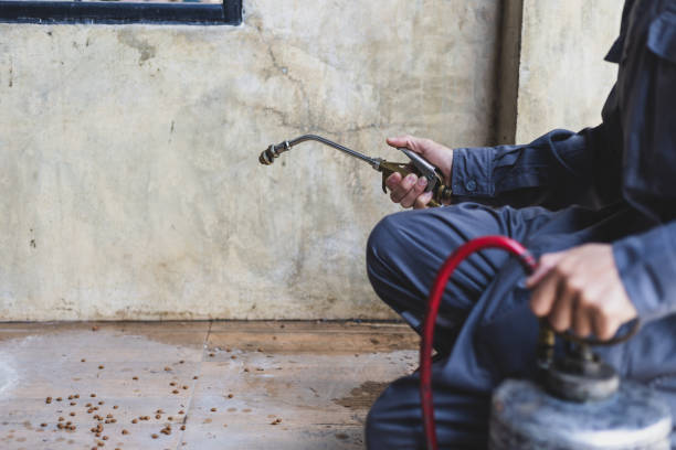 Best Rat Extermination Near Me  in Doolittle, TX